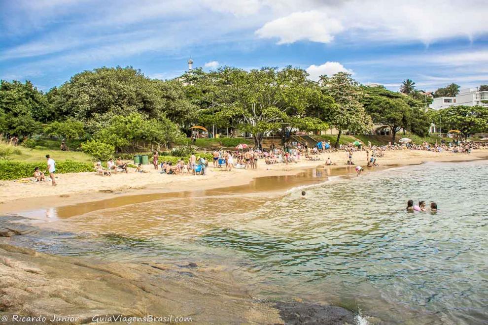 Imagem de árvores na orla da praia com vários turistas nas areias.